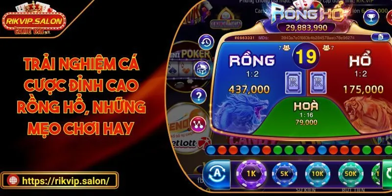 Rồng Hổ